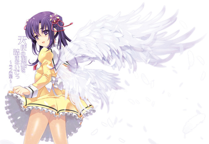 TINAMI - ［イラスト］冬コミ新刊 「天使の羽根を踏まないでっ