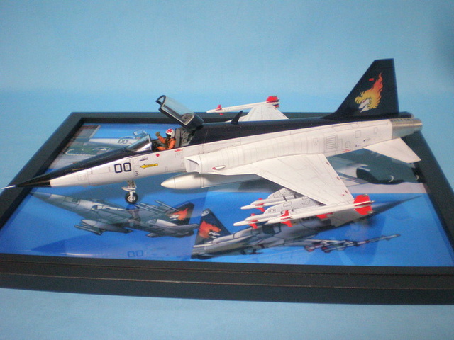 TINAMI - ［モデル］1/48 F-5E タイガーⅡ エリア88 風間機