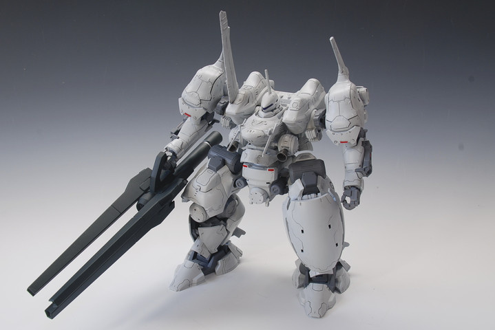 TINAMI - ［モデル］I-C003-IN/v